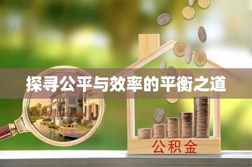 西螺探寻公平与效率的平衡之道