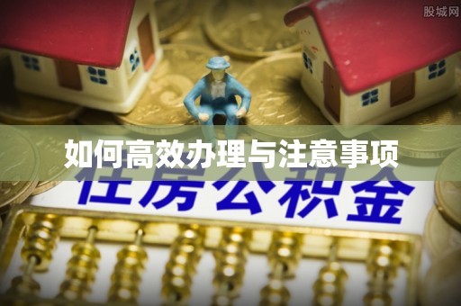 西螺如何高效办理与注意事项