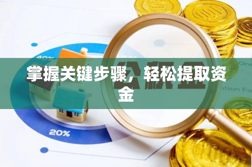 西螺掌握关键步骤，轻松提取资金