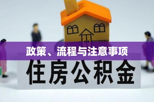 西螺政策、流程与注意事项