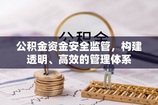 西螺公积金资金安全监管，构建透明、高效的管理体系