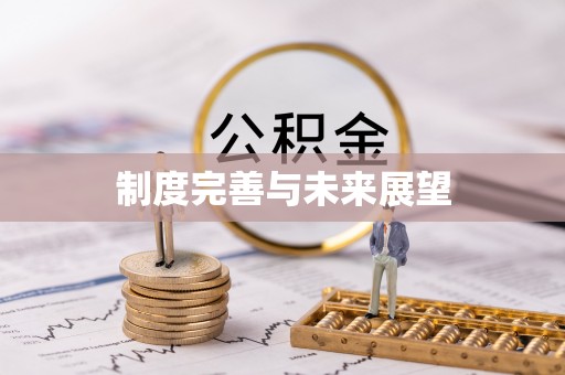 西螺制度完善与未来展望