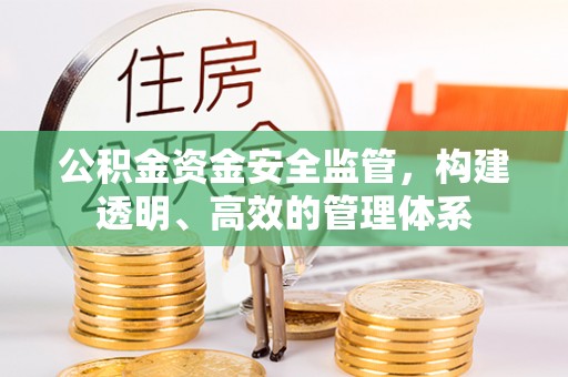 西螺公积金资金安全监管，构建透明、高效的管理体系