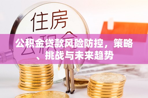 西螺公积金贷款风险防控，策略、挑战与未来趋势