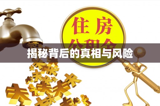 西螺揭秘背后的真相与风险