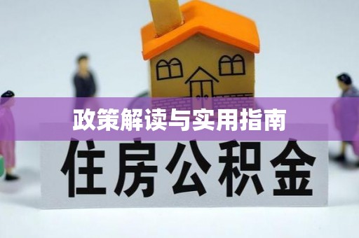 西螺政策解读与实用指南