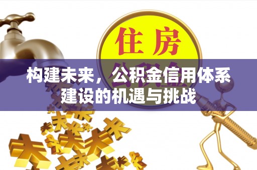 西螺构建未来，公积金信用体系建设的机遇与挑战