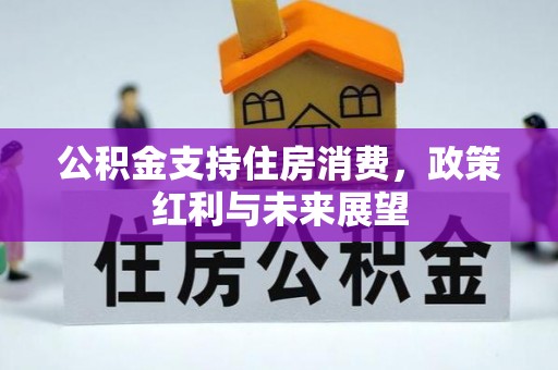 西螺公积金支持住房消费，政策红利与未来展望