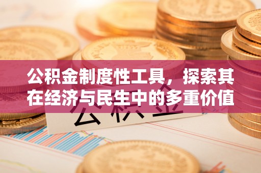 西螺公积金制度性工具，探索其在经济与民生中的多重价值