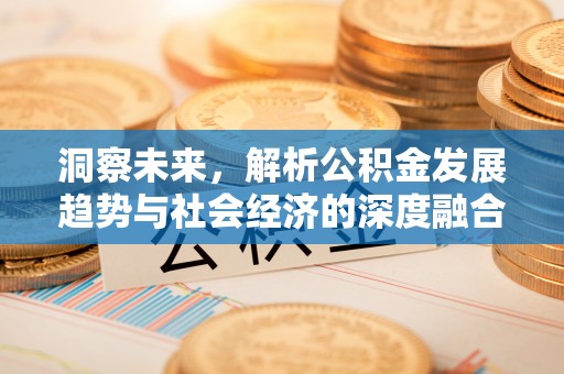 西螺洞察未来，解析公积金发展趋势与社会经济的深度融合