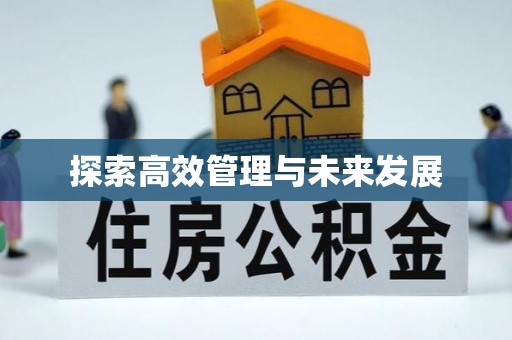 西螺探索高效管理与未来发展