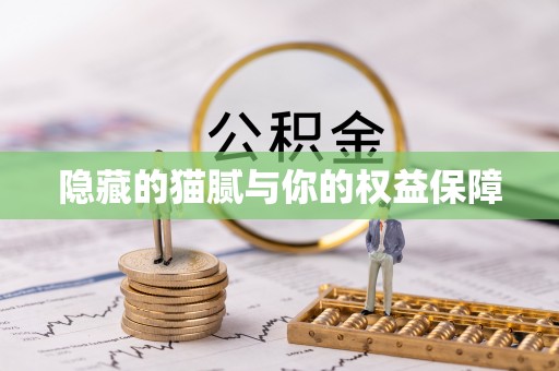 西螺隐藏的猫腻与你的权益保障