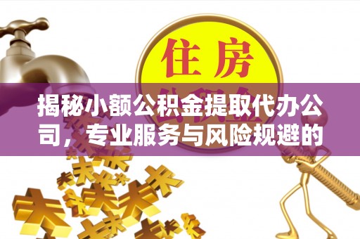 西螺揭秘小额公积金提取代办公司，专业服务与风险规避的平衡艺术
