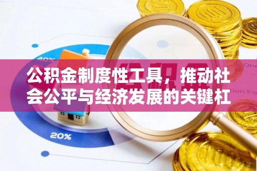 西螺公积金制度性工具，推动社会公平与经济发展的关键杠杆