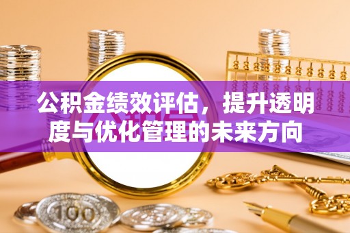 西螺公积金绩效评估，提升透明度与优化管理的未来方向