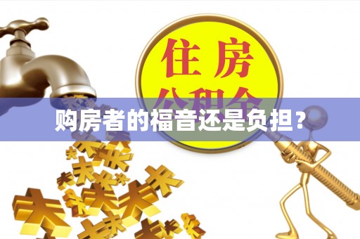 西螺购房者的福音还是负担？