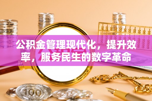 西螺公积金管理现代化，提升效率，服务民生的数字革命