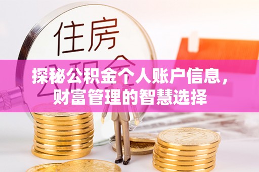 西螺探秘公积金个人账户信息，财富管理的智慧选择