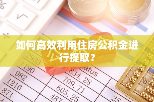 西螺如何高效利用住房公积金进行提取？