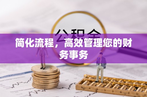 西螺简化流程，高效管理您的财务事务