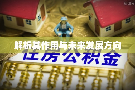 西螺解析其作用与未来发展方向