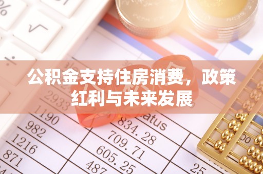 西螺公积金支持住房消费，政策红利与未来发展